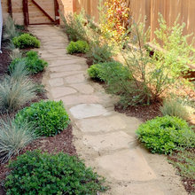 Side yard