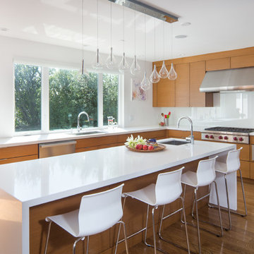 Fernwood Light and Modern Kitchen