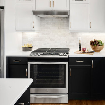 Bold Transitional Kitchen