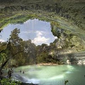 Cheri Ellison's photo