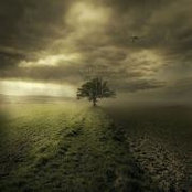 Kimberly Snider's photo