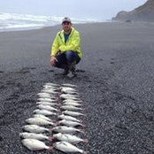 Justin Mack's photo