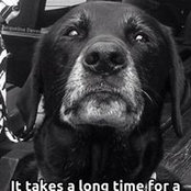 Emily Cole's photo