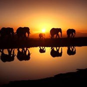 Janice Searles's photo