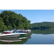 Dawn DeFeo's photo