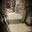Evolutionary Home Design Center