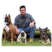 invisible fence of the triad