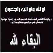 Alaa El Batran's photo