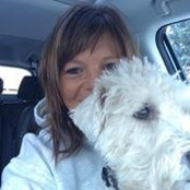 Lisa VanBaalen's photo