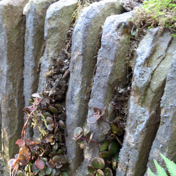 The Abe Woodlands