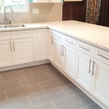 2 MONTHS!! Complete Kitchen Renovation
