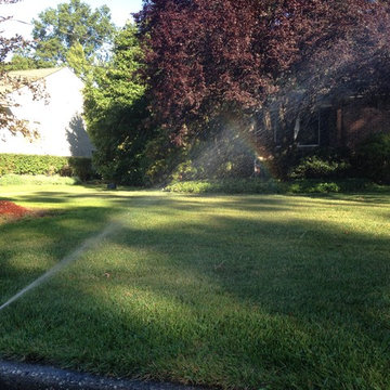 No Damage to Lawn