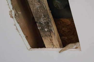 Drywall repairs
