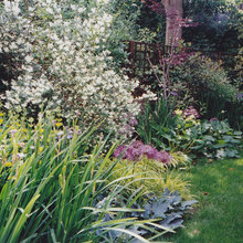 Garden Inspiration
