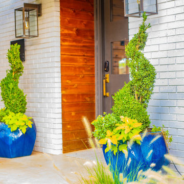 Modern Masterpiece | Dallas Curb Appeal