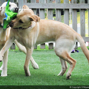 Pet-Friendly Artificial Grass
