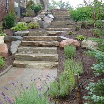 Our Work