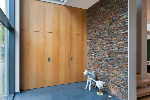 Contemporary Entry Modern Eingang