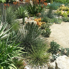 Gravel Garden