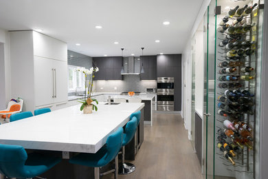 Contemporary Kitchen Remodel