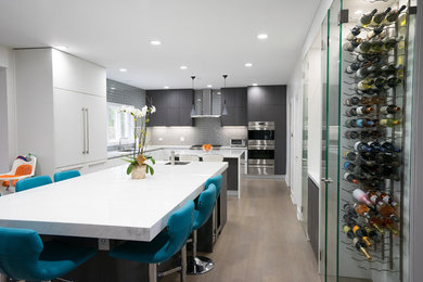 Home design - contemporary home design idea in Chicago