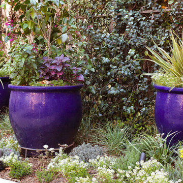 Studio City Outdoor Remodeling