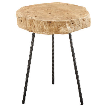 Lynchburg Natural Edge Pine & Hammered Iron End Table