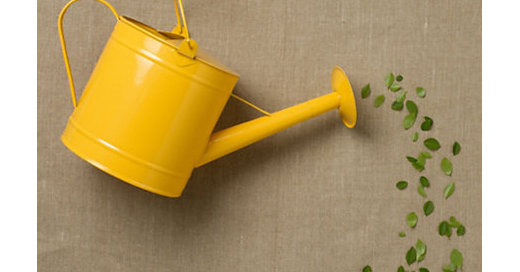 Guest Picks: Springtime Gardening Tools