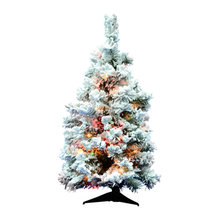 Wish List
