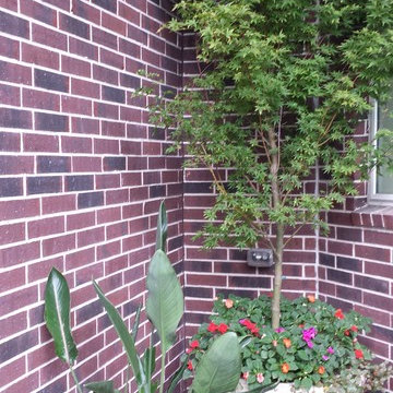 Braeswood Place Pool and Courtyard