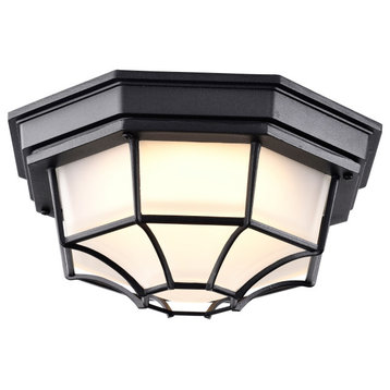 LED Spider Cage Fixture - Black Finish with Frosted Glass