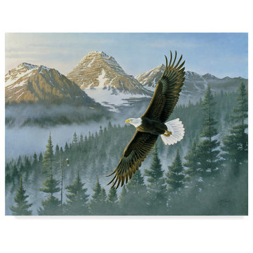 Wilhelm Goebel 'Soaring Eagle' Canvas Art, 24"x18"