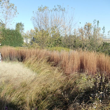 Planned Prairie