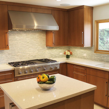 Pasadena Mid-Century Modern Kitchen with Stainless Range