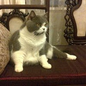 Doris Kwan's photo