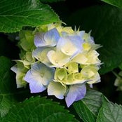 Joy-Ellen Hilder's photo