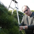 Profilbild von Hans-Joachim Kleimann Gartengestaltung