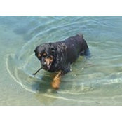Jacqueline Bridge's photo