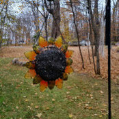 denise lund-smith's photo