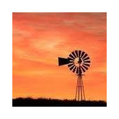 Faye Mackey's photo