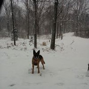 Robyn Marrufo's photo