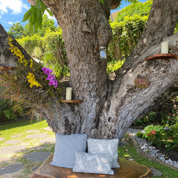 100 Year Old Tree Bench