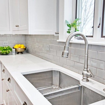 Lakeview Transitional Kitchen