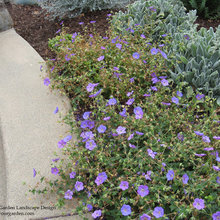Landscape Ideas
