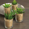 Artificial Succulent Cactus in Glass Pot, Set of 4