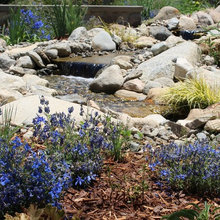 Streams.. wet