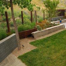 Landscape Design