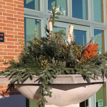 Seasonal Display