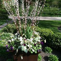 Spring Rotations - Plants