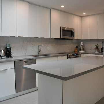 Modern Kitchen Renovation in Mount Pleasant